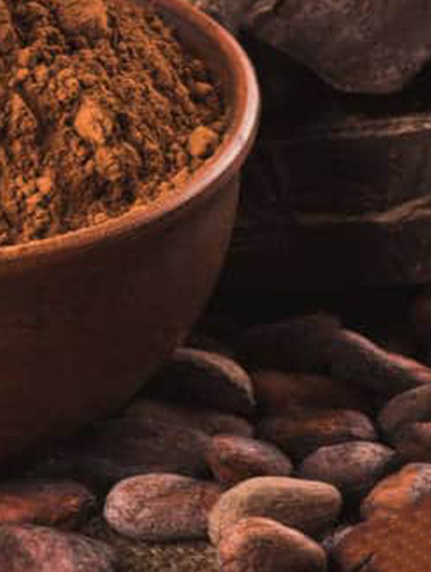 cacao2