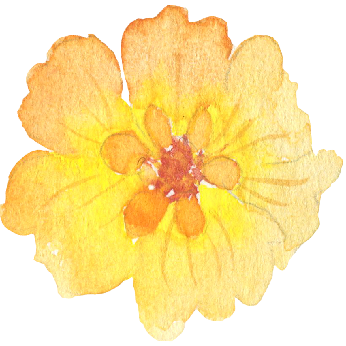 Lovepik_com-400203310-watercolor-flowers