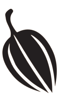 cacao bean icon