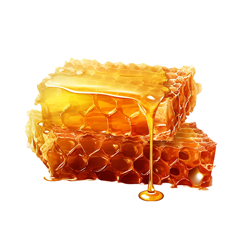 Honeycomb with honey drop isolated -1